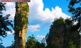 张家界导游爆料新闻,揭秘景区背后的秘密